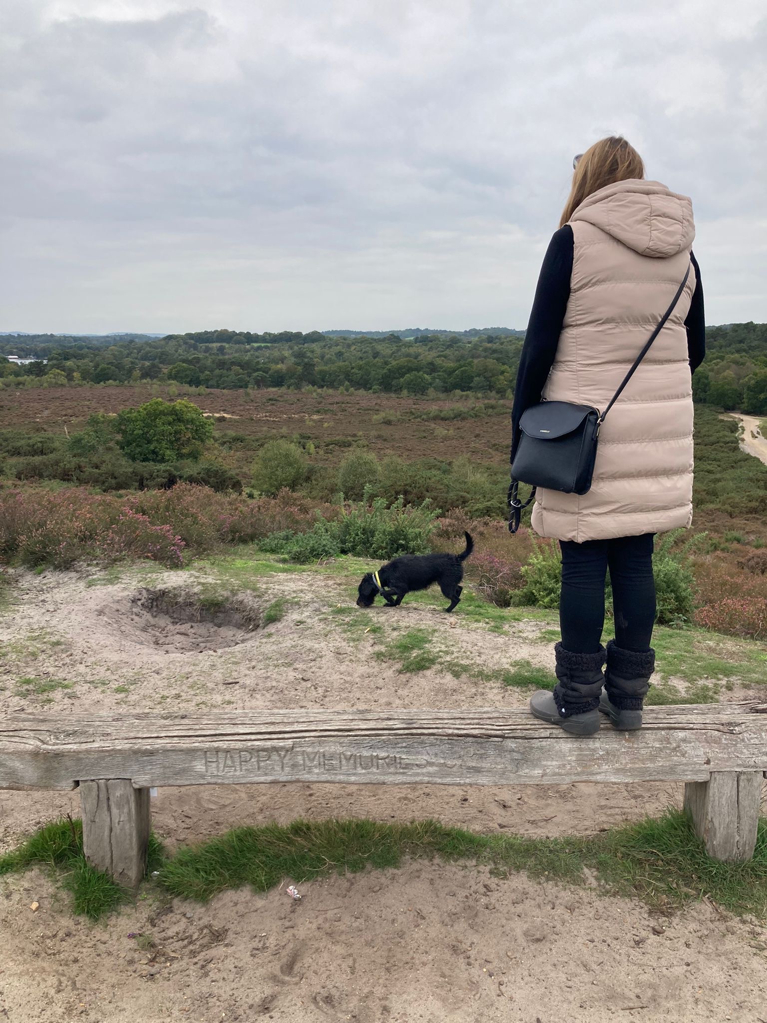 7ef38fe7 e1b9 448c bbee 12c83776d68e