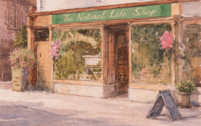 The Natural Life Shop