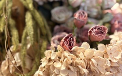 Me and The Peach Shop