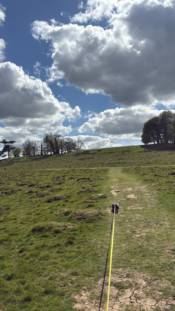 SOLO DOG TRIP c95cb4ec 610b 4100 9935 a5f7c122d42d