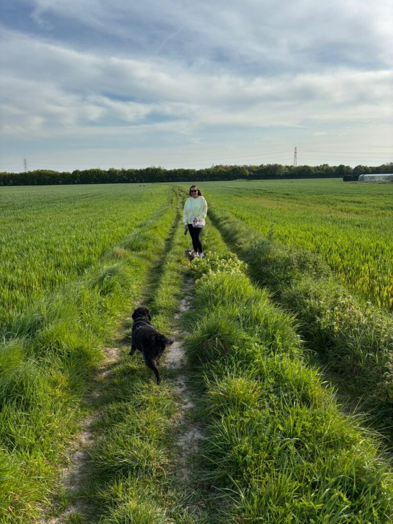 SOLO DOG TRIP c5d8a8e4 7bc2 43a2 b667 7c8ddbc0d33a