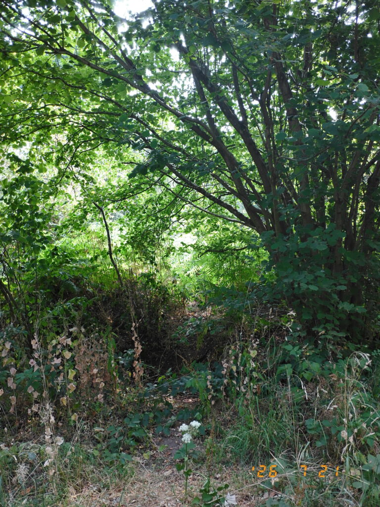 Elstead & Lakes dscf0121