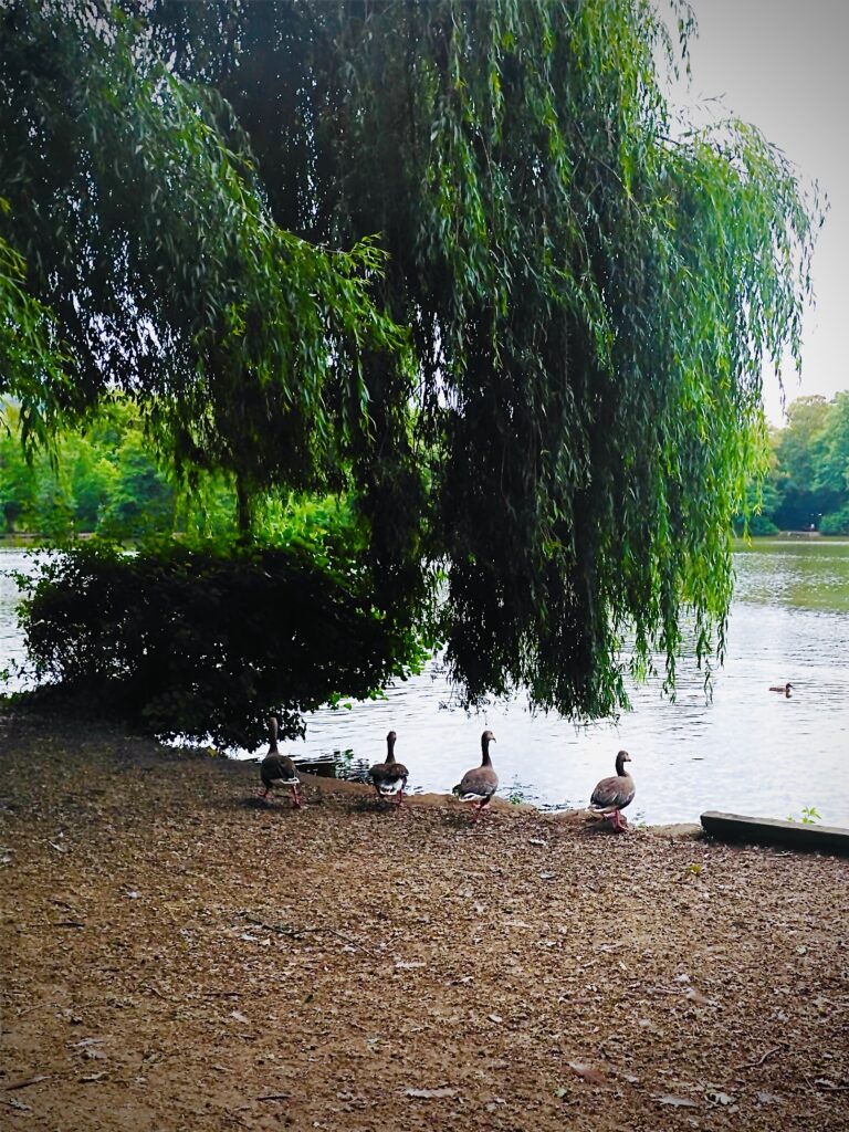 Elstead & Lakes dscf0167