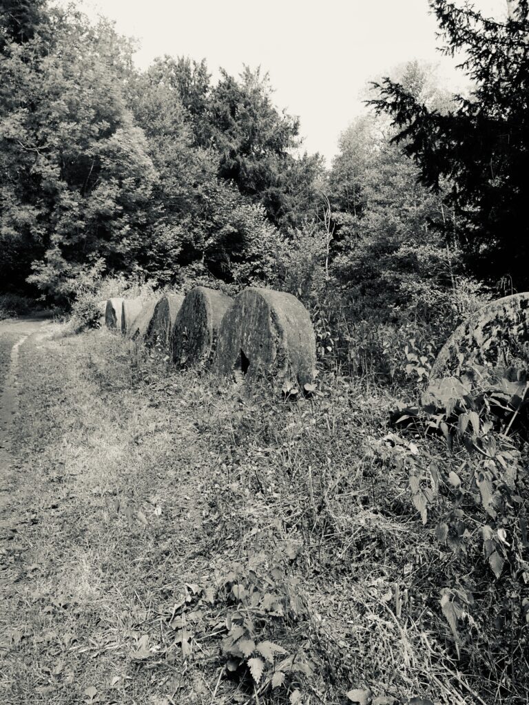 dscf0232