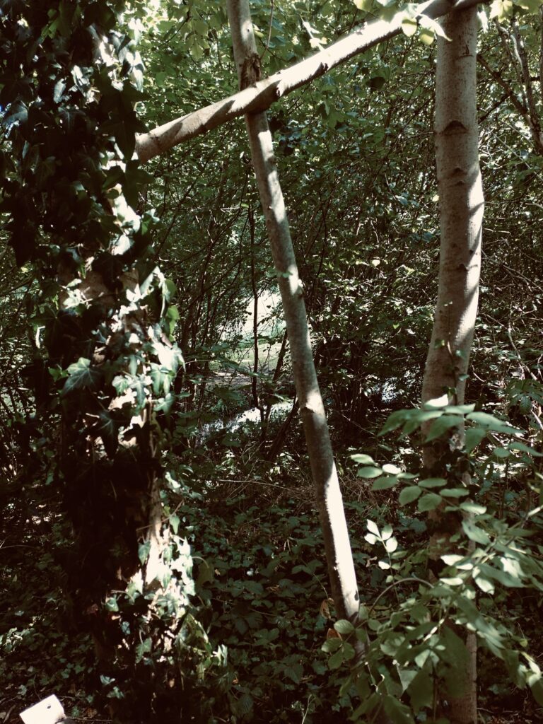 dscf0245