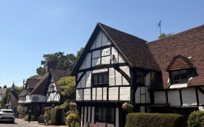 Village Blogs A SHERE JOY